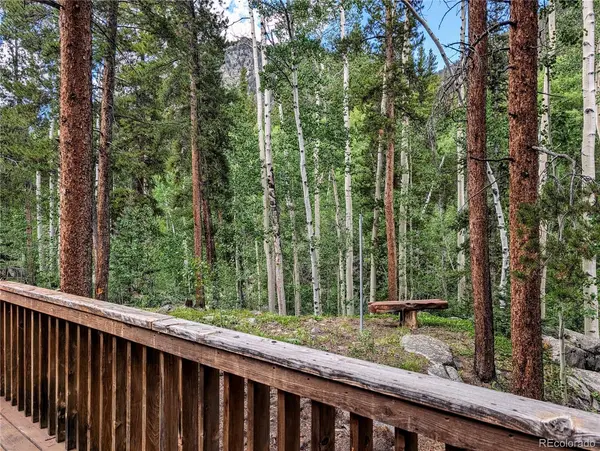 23795 County Road 162, Nathrop, CO 81236