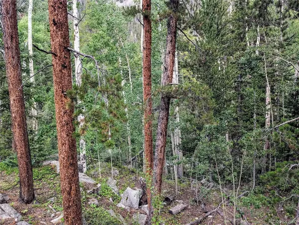23795 County Road 162, Nathrop, CO 81236