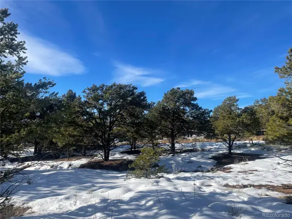 1195 Hilltop WAY, Crestone, CO 81131