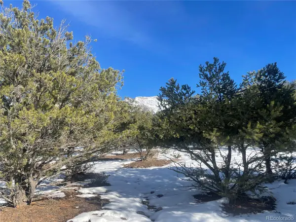 1195 Hilltop WAY, Crestone, CO 81131