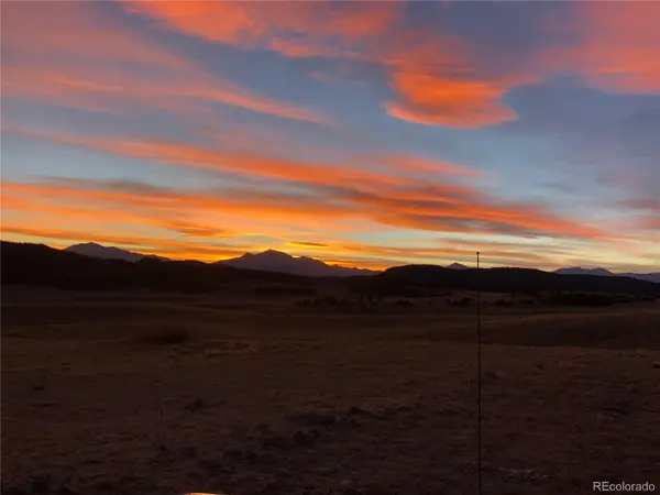 683 Latigo LOOP, Hartsel, CO 80820