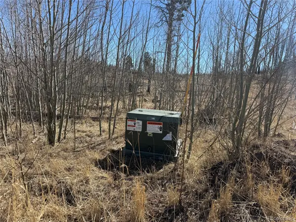 Lot 999 Foy PL, Fort Garland, CO 81133