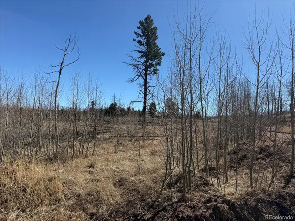 Lot 999 Foy PL, Fort Garland, CO 81133