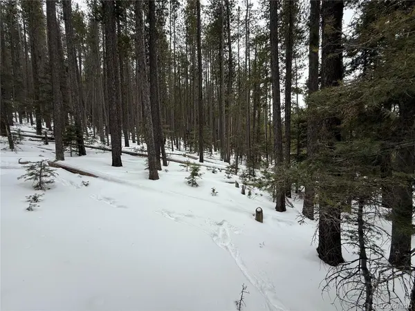 Lot 2805 Moir DR, Fort Garland, CO 81133