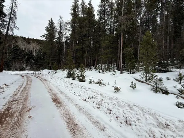 Lot 2805 Moir DR, Fort Garland, CO 81133