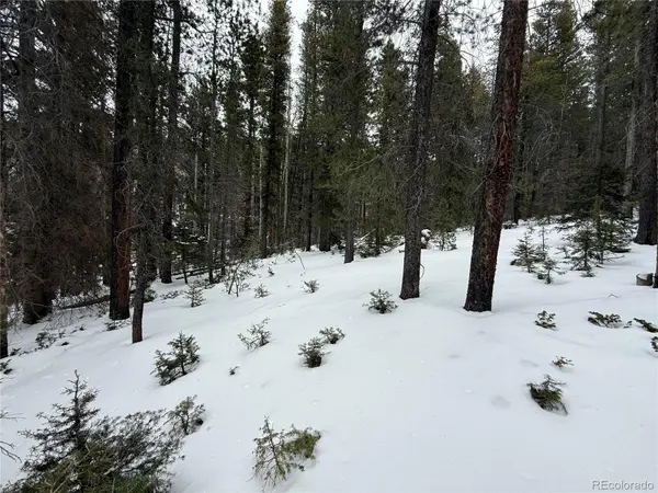 Lot 2805 Moir DR, Fort Garland, CO 81133