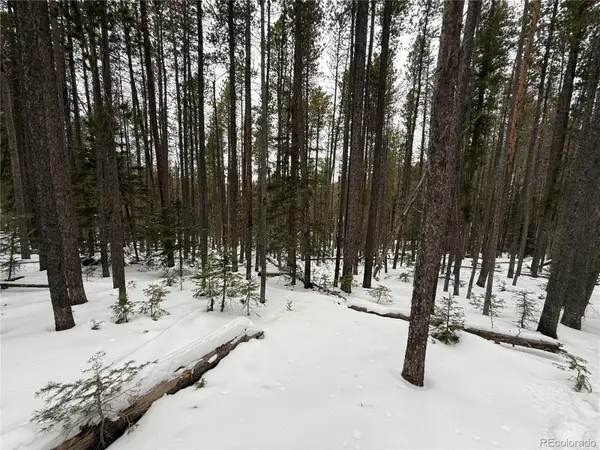 Lot 2805 Moir DR, Fort Garland, CO 81133