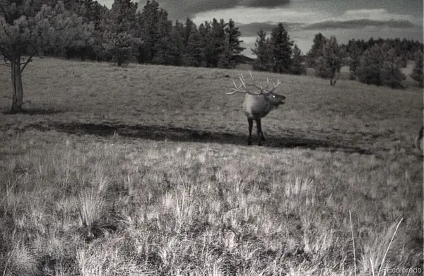10801 County Road M-32, Del Norte, CO 81132