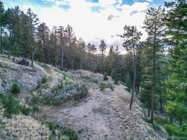 26779 Fern Gulch Road, Evergreen, CO 80439