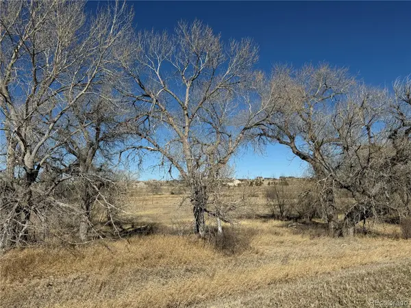 2427 Elkhorn Ranch ST, Parker, CO 80138