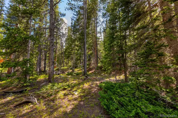 440 Gold Trail CIR, Fairplay, CO 80440