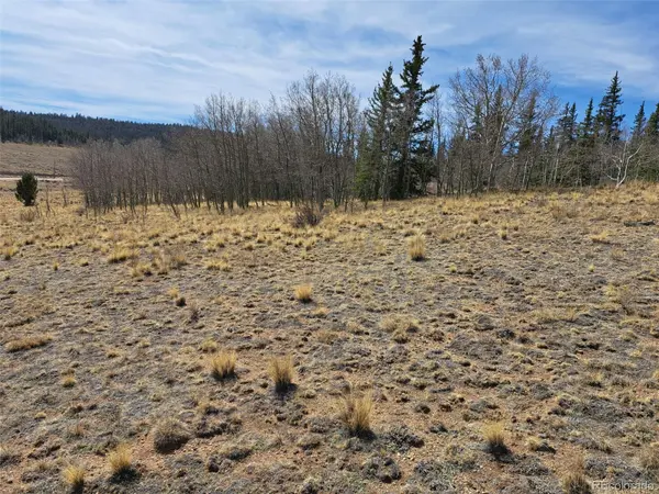 541 War LN, Como, CO 80432