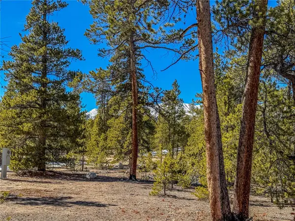199 Cedar DR, Twin Lakes, CO 81251