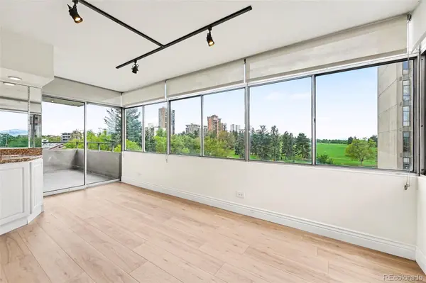 1313 N Williams ST #705, Denver, CO 80218