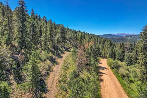 Block 9 Lot 5 Hughesville RD, Black Hawk, CO 80422