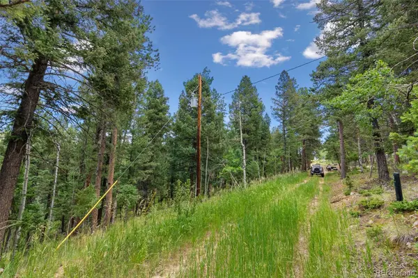 135 Linda TRL, Bailey, CO 80421