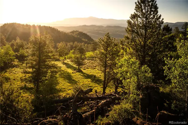 404 Valley DR, Florissant, CO 80816