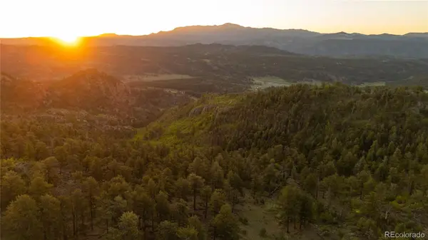 404 Valley DR, Florissant, CO 80816