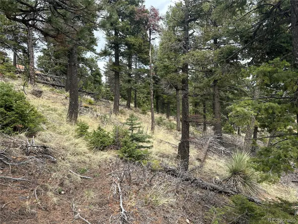 275 Upper Vista RD, Manitou Springs, CO 80829