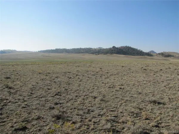 0 Buffalo DR, Hartsel, CO 80449