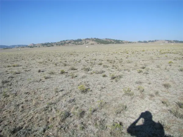 0 Buffalo DR, Hartsel, CO 80449