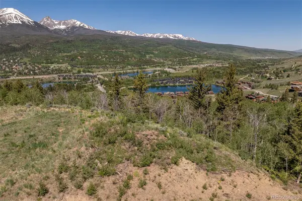 70 Mayfly DR, Silverthorne, CO 80498