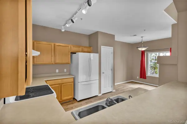 488 Black Feather LOOP #215, Castle Rock, CO 80104