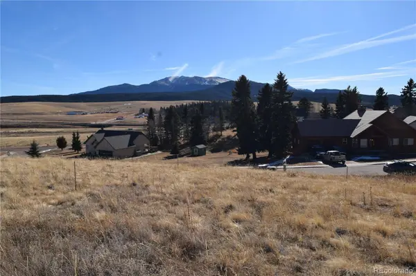 108 Allison PL, Divide, CO 80814