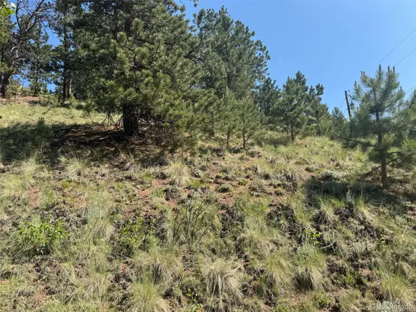 281 Pikes Peak DR, Divide, CO 80814