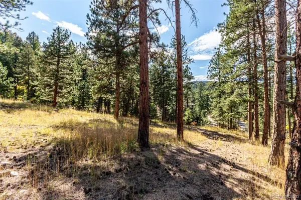 27406 Mountain Park RD, Evergreen, CO 80439