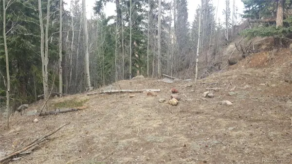 0 Ohio Gulch TRL, Dumont, CO 80436