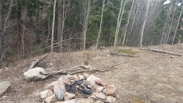 0 Ohio Gulch TRL, Dumont, CO 80436