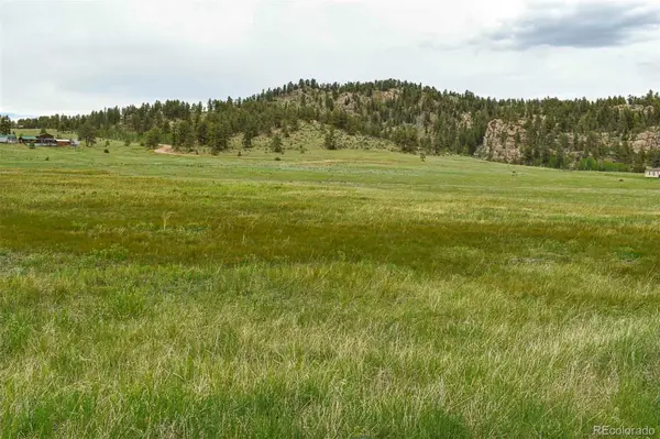 729 Valley DR, Guffey, CO 80820