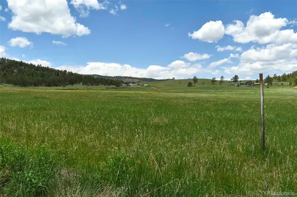 729 Valley DR, Guffey, CO 80820