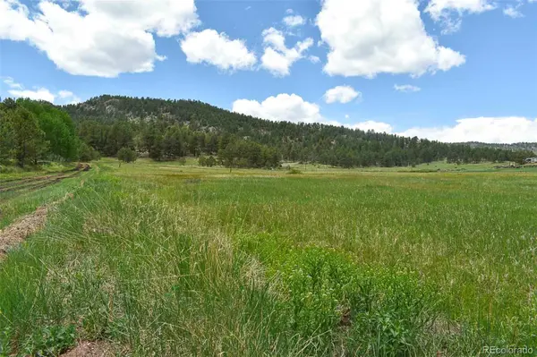 729 Valley DR, Guffey, CO 80820