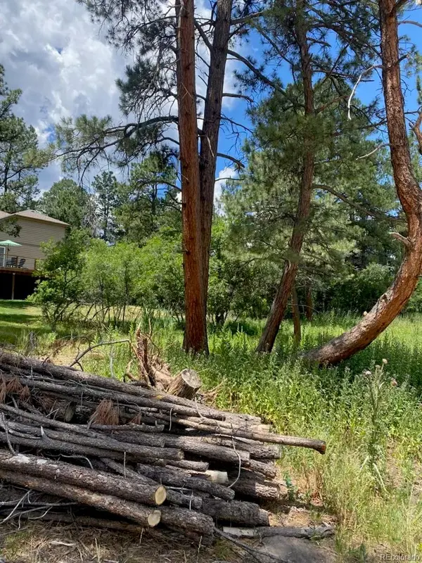 1025 Tenderfoot DR, Larkspur, CO 80118