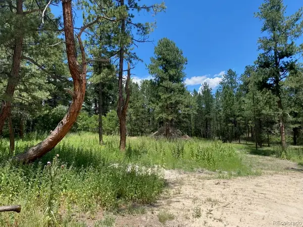 1025 Tenderfoot DR, Larkspur, CO 80118