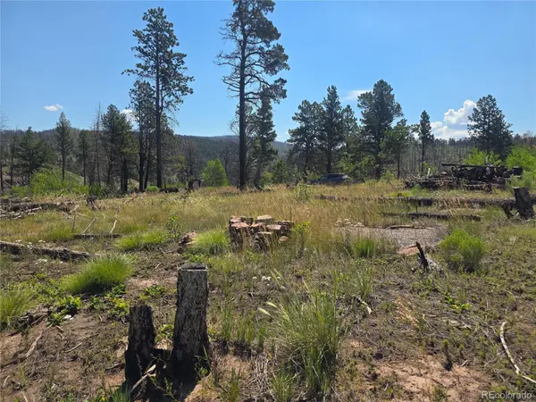695 Cogbill DR, Fort Garland, CO 81133