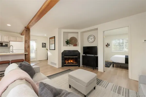 753 County Road 830 #1, Fraser, CO 80442