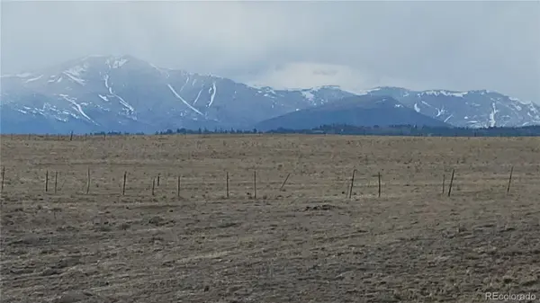 1194 Yellowstone RD, Hartsel, CO 80449