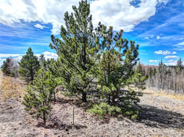 101 Patch CT, Como, CO 80432