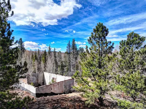 101 Patch CT, Como, CO 80432