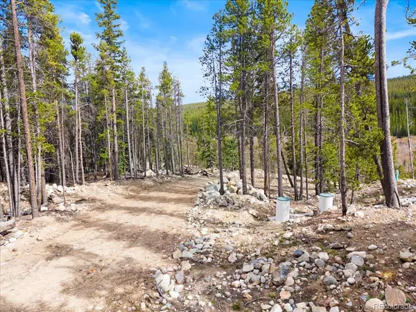 3259 Nugget RD, Fairplay, CO 80440