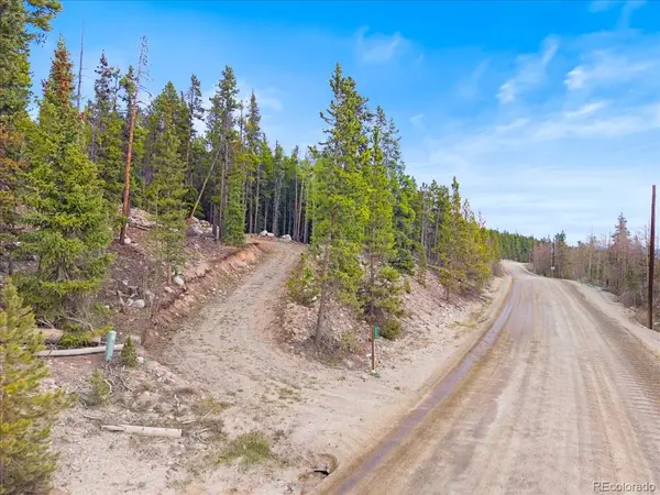3259 Nugget RD, Fairplay, CO 80440