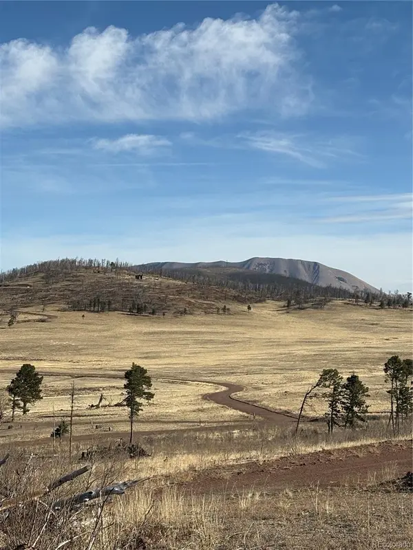 000 Riccardo LN, Fort Garland, CO 81133
