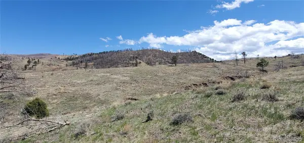 Lot 7699 Marie RD, Fort Garland, CO 81133