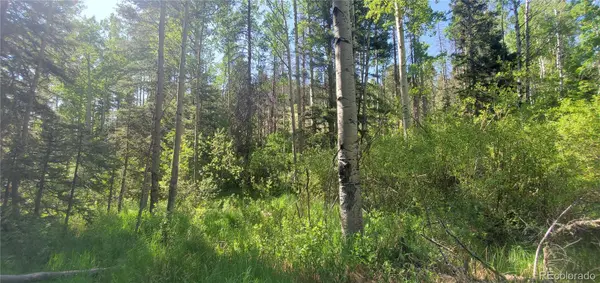5660 Kawasaki RD, San Luis, CO 81152
