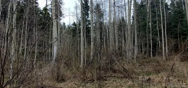 5660 Kawasaki RD, San Luis, CO 81152
