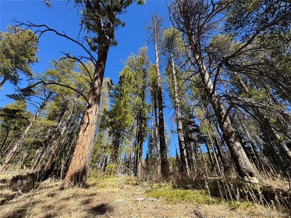 Lot 14X Wallace AVE, Conifer, CO 80433
