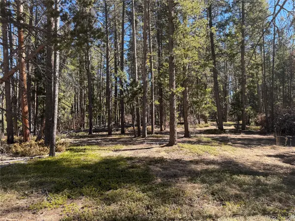 Lot 14X Wallace AVE, Conifer, CO 80433